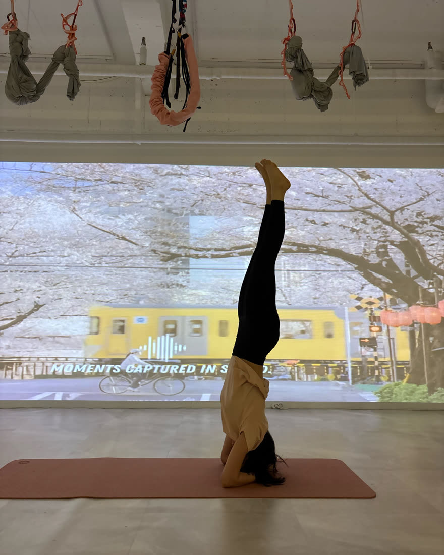 로미 번지앤요가 머리서기 챌린지